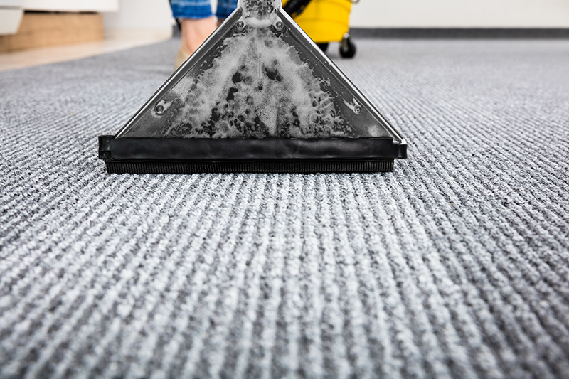 Carpet Cleaning Near Me in Worthing West Sussex