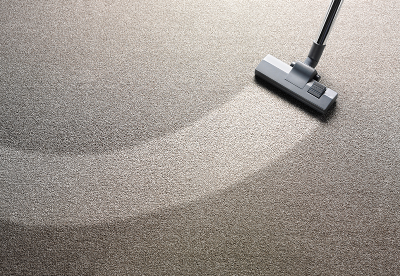 Rug Cleaning Service in Worthing West Sussex